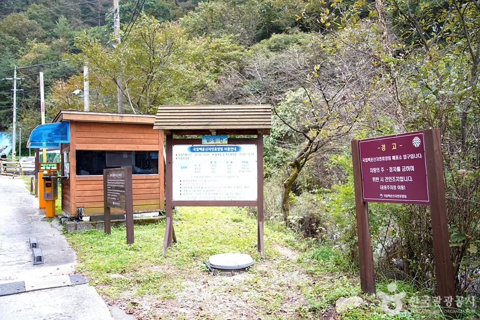 국립 백운산자연휴양림(원주) (5)