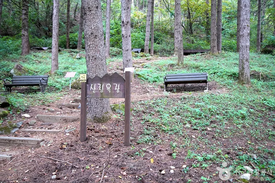 국립 백운산자연휴양림(원주) (19)