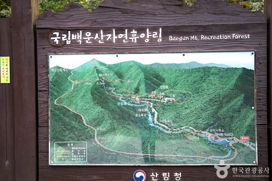 국립 백운산자연휴양림(원주) (4)