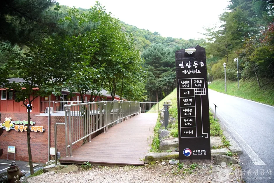 국립 백운산자연휴양림(원주) (15)
