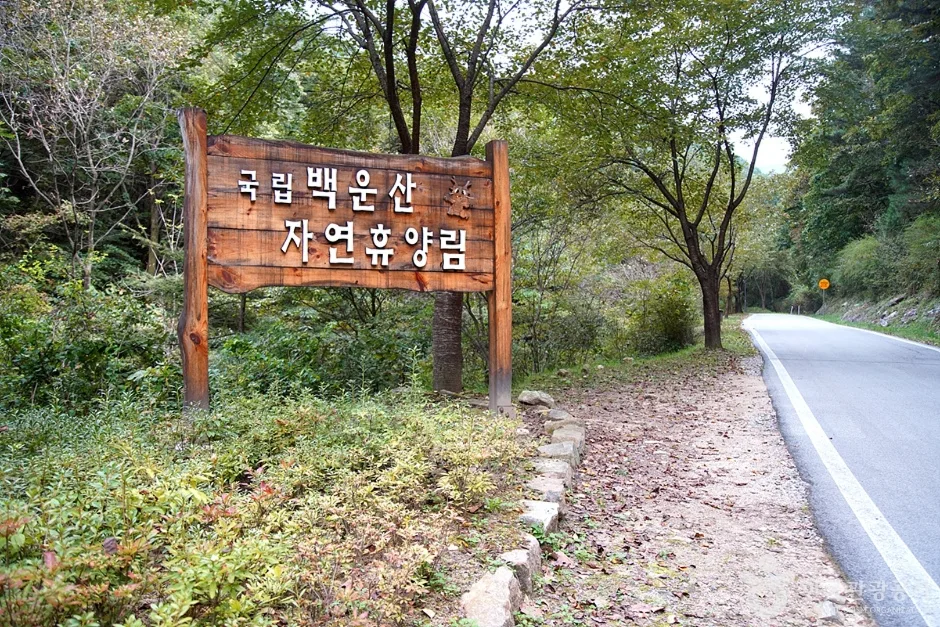 국립 백운산자연휴양림(원주) (6)