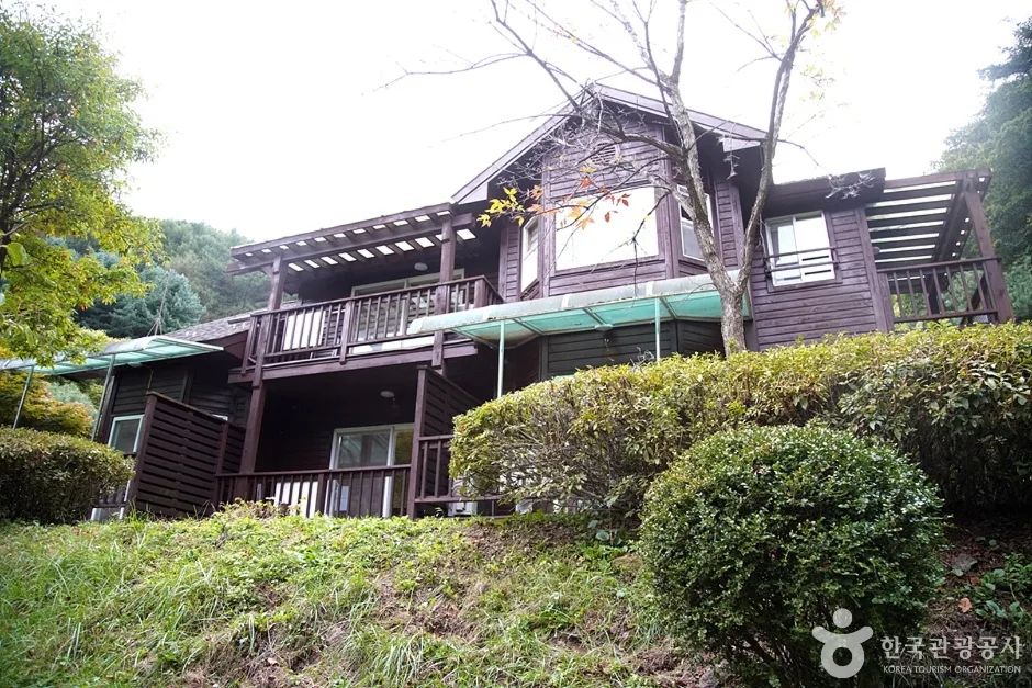 국립 백운산자연휴양림(원주) (23)