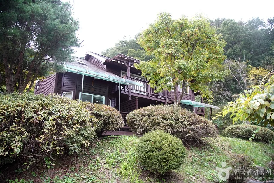 국립 백운산자연휴양림(원주) (12)