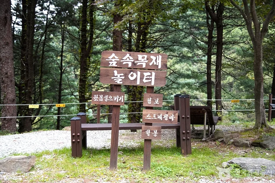 국립 백운산자연휴양림(원주) (2)