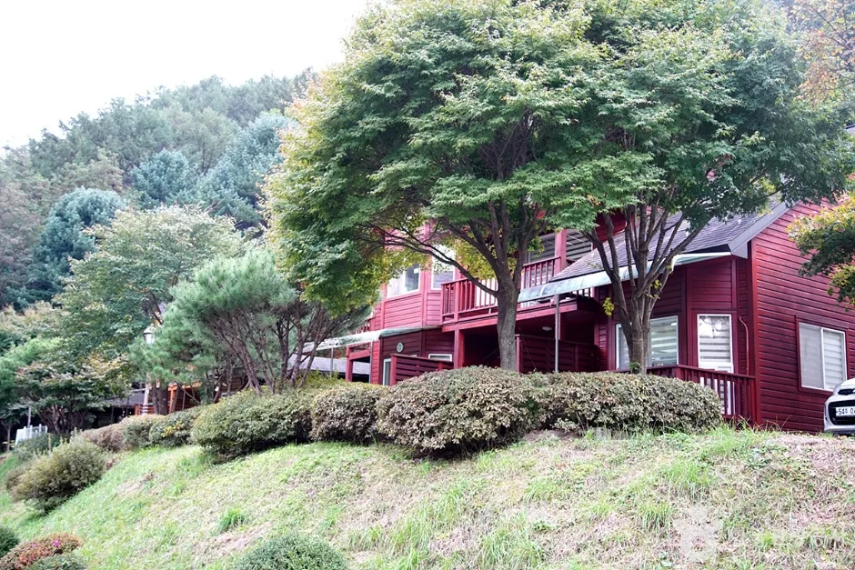 국립 백운산자연휴양림(원주) (24)