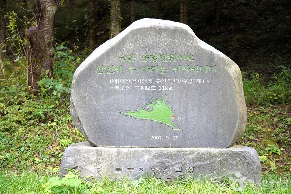 국립 백운산자연휴양림(원주) (8)