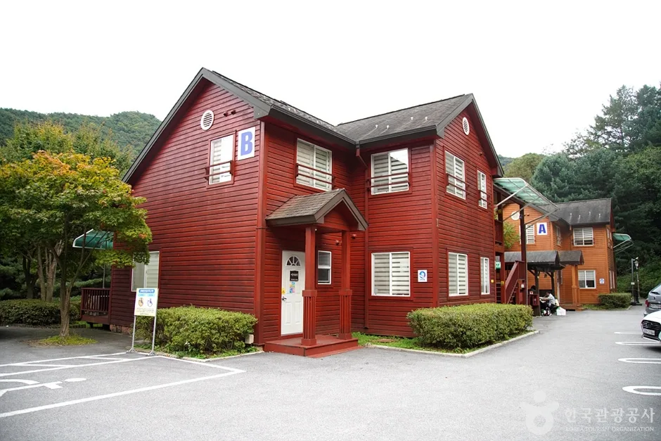 국립 백운산자연휴양림(원주) (7)