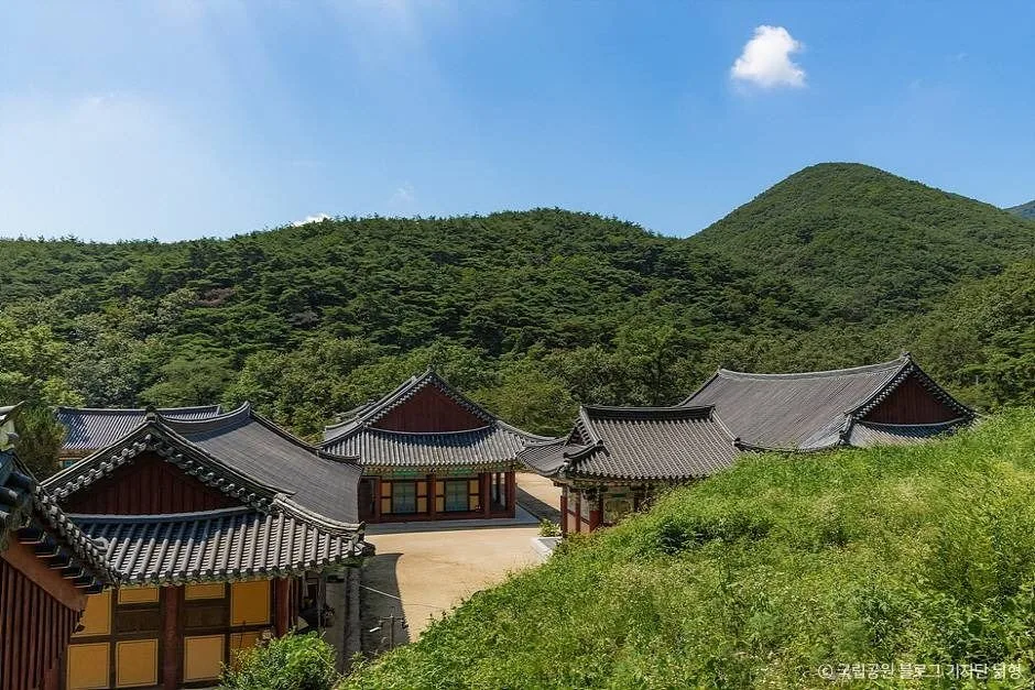 팔공산국립공원(은해사지구) (6)