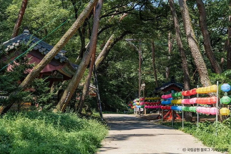 팔공산국립공원(은해사지구) (4)