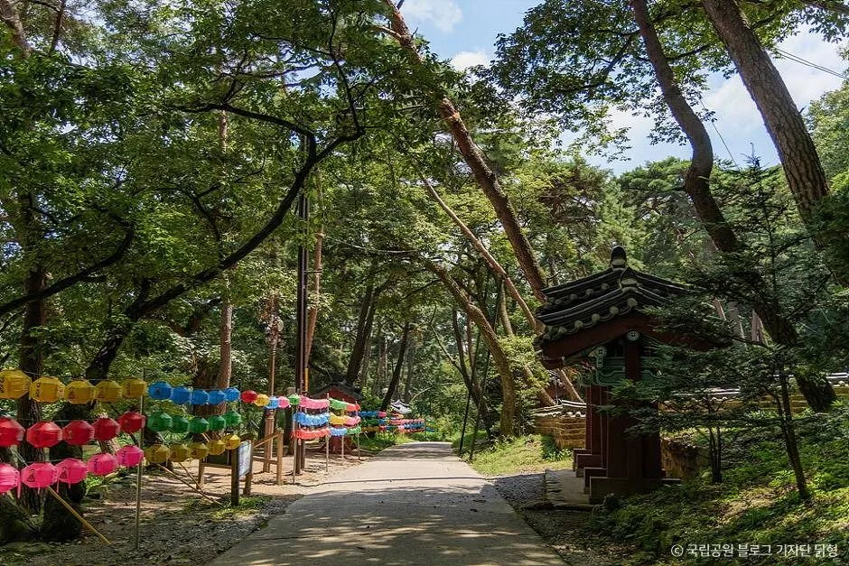 팔공산국립공원(은해사지구) (2)