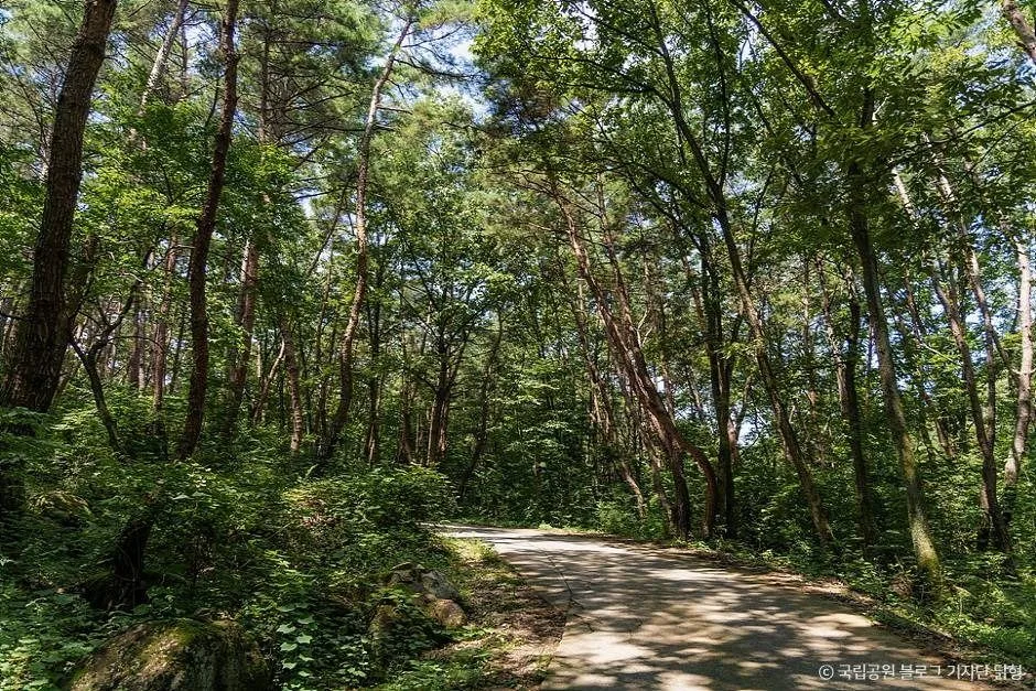 팔공산국립공원(은해사지구) (8)