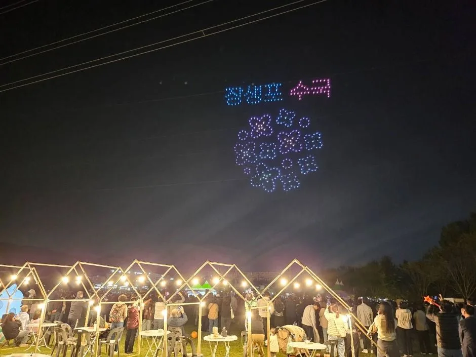 2025 태화강 빛축제 2