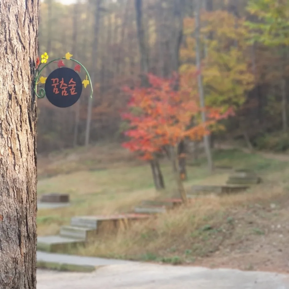 깊은산속 옹달샘_숲속에그린하우스 (1)