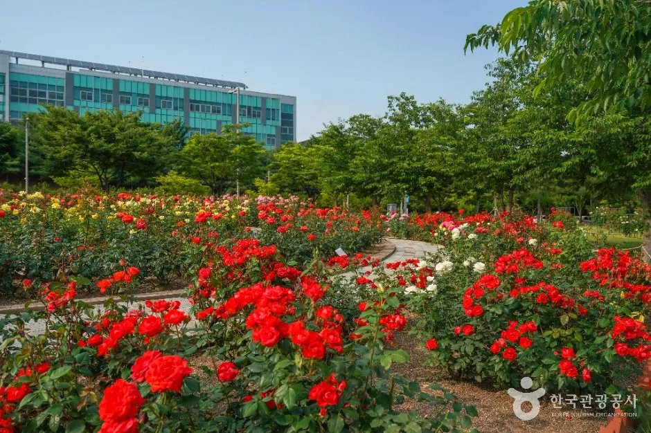 신서 중앙공원