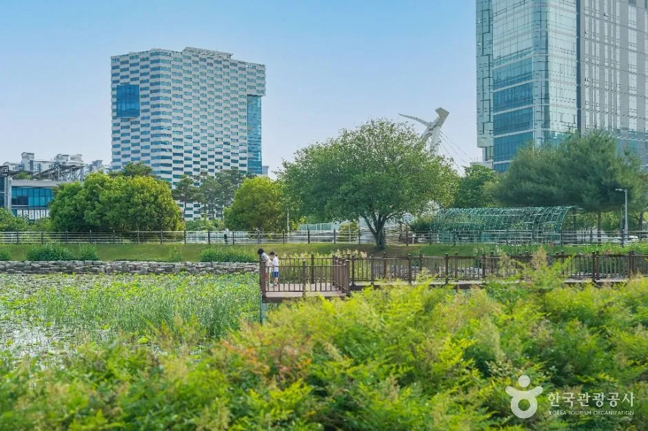 대구_신서 중앙공원 (6)