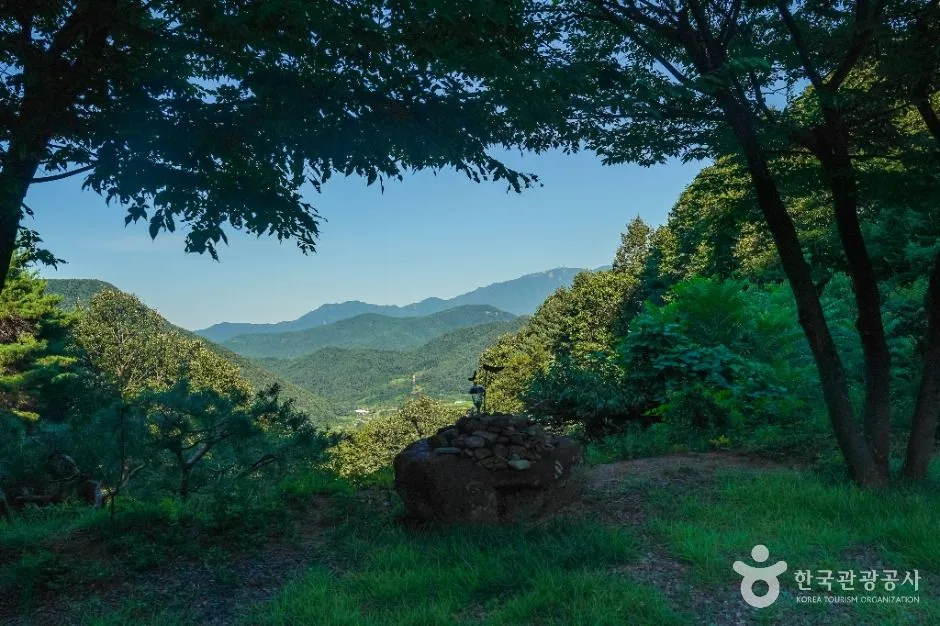 칠곡_대둔사(칠곡) (3)