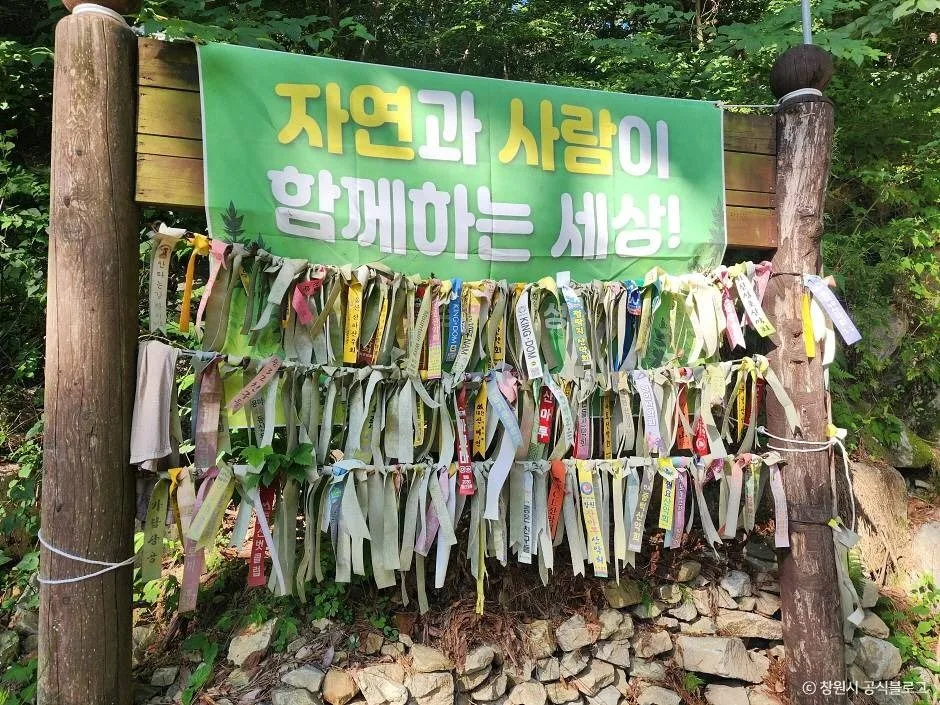 창원_무학산 (3)