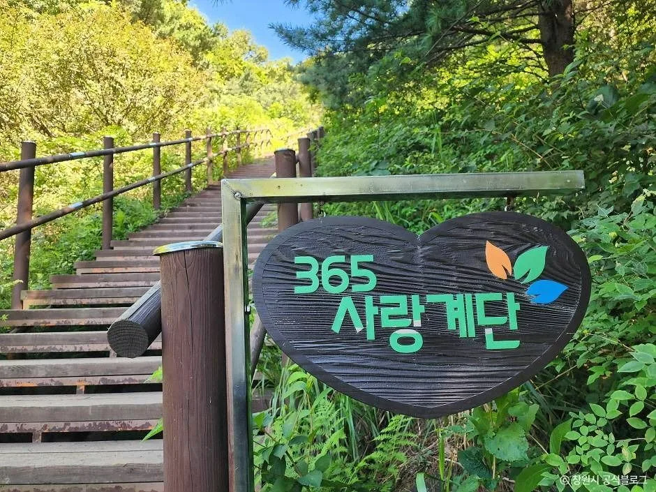 창원_무학산 (7)