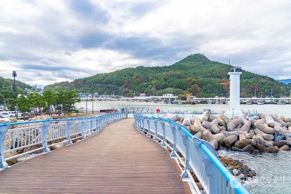영덕_대진항(영덕) (6)