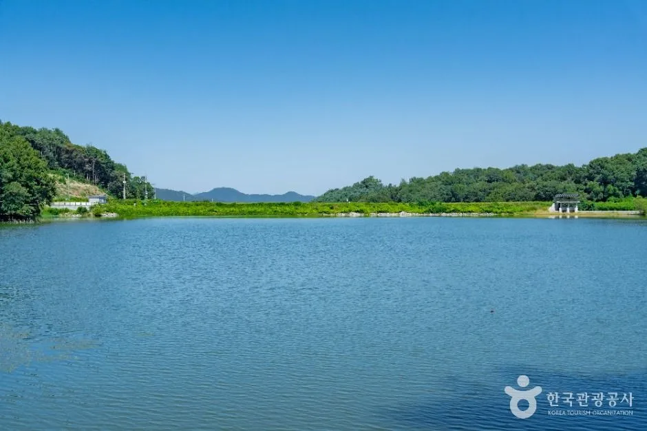 용인_두창저수지 (3)