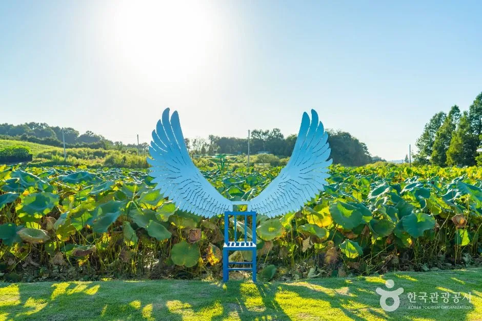 이천_성호호수연꽃단지 (4)