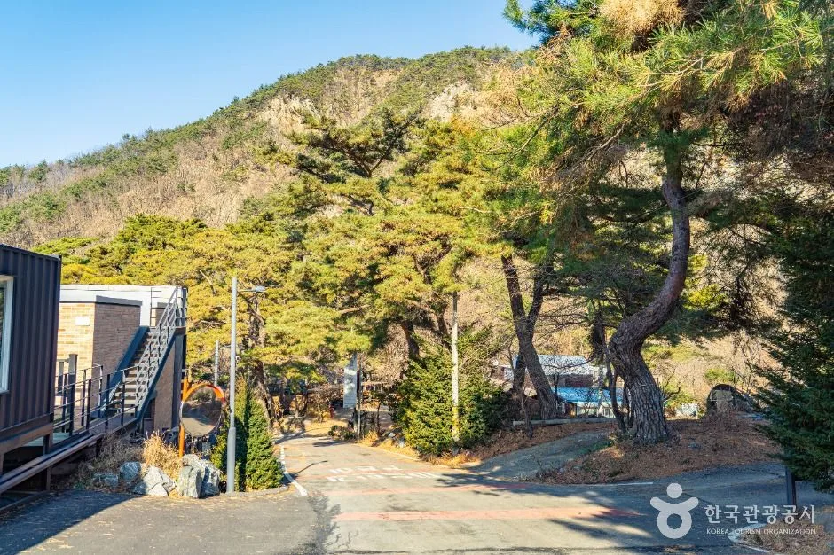 보은_구병리아름마을 (4)