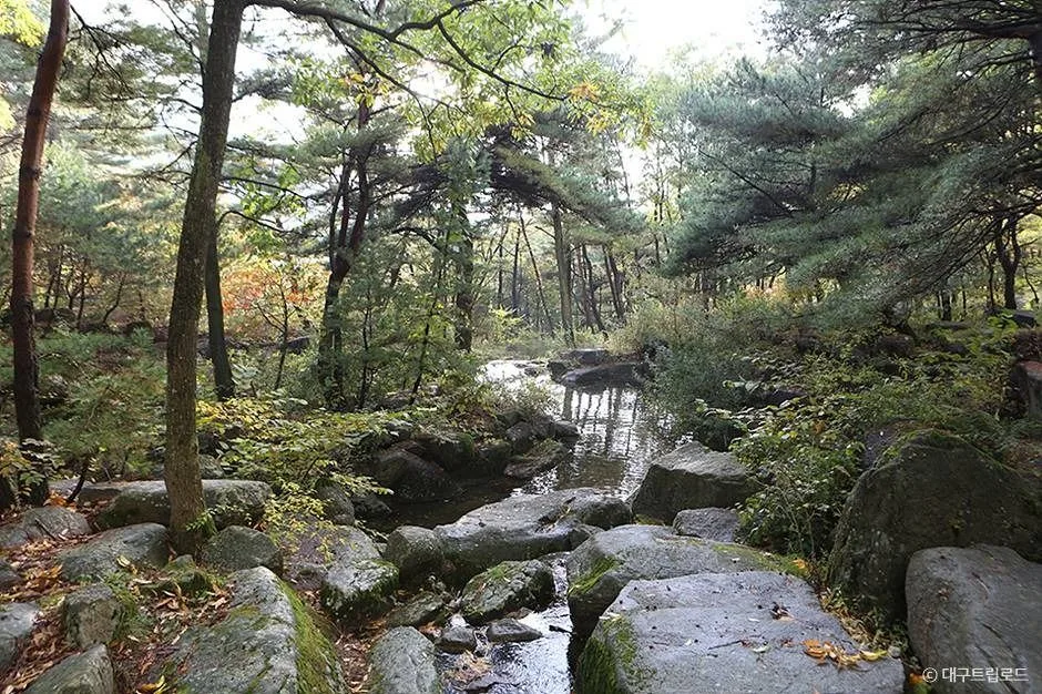 대구_비슬산 군립공원 (2)