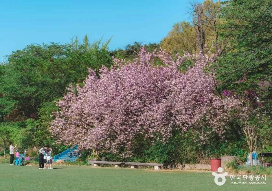충남_당진_아미미술관_본관 기획전시1.jpg