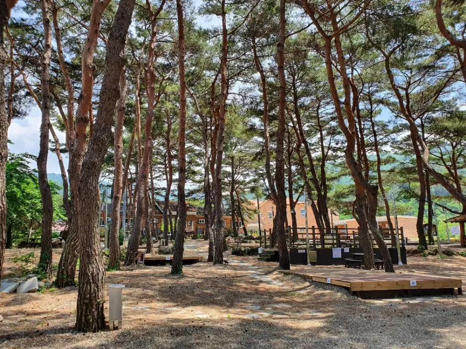 무주_명천물숲마을 (12)