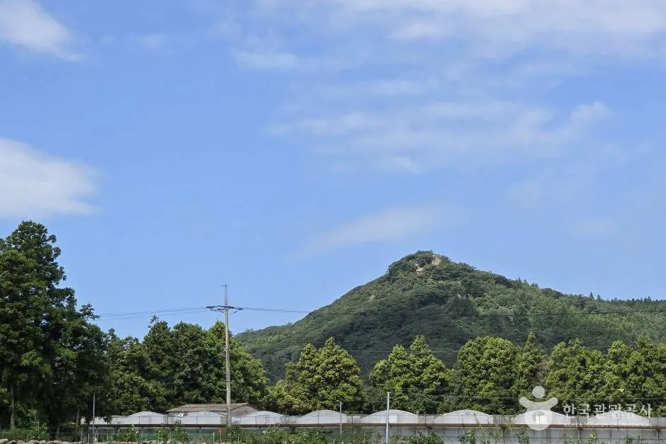 각시바우오름_e (2)