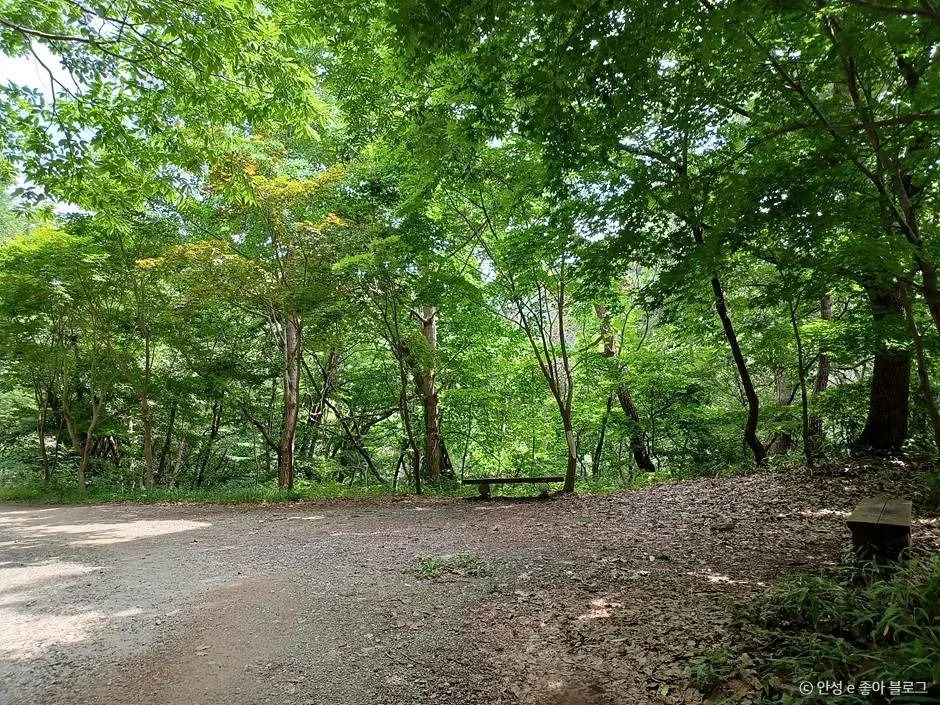 안성_서운산 (1)