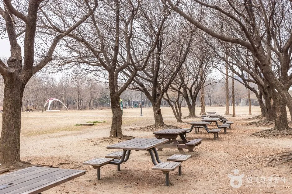 서울_서울숲 (6)