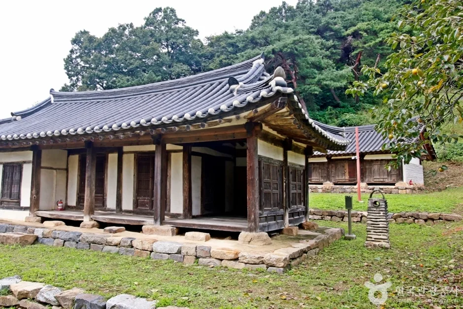 대전 안동권씨유회당종가일원 (5)