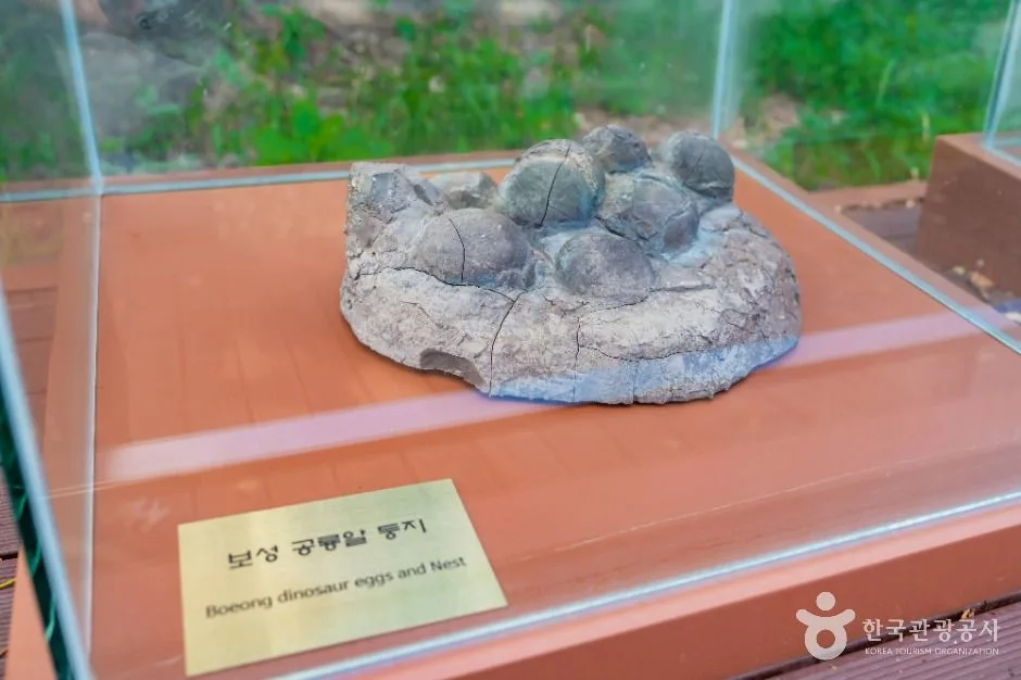 보성_보성 비봉리 공룡알화석 산지 (4)