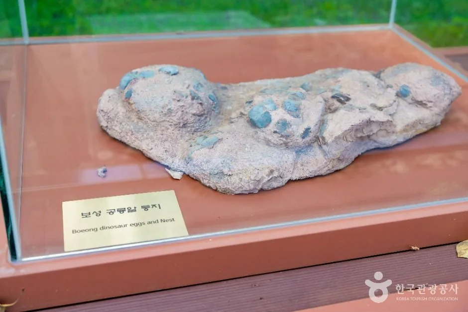 보성_보성 비봉리 공룡알화석 산지 (3)