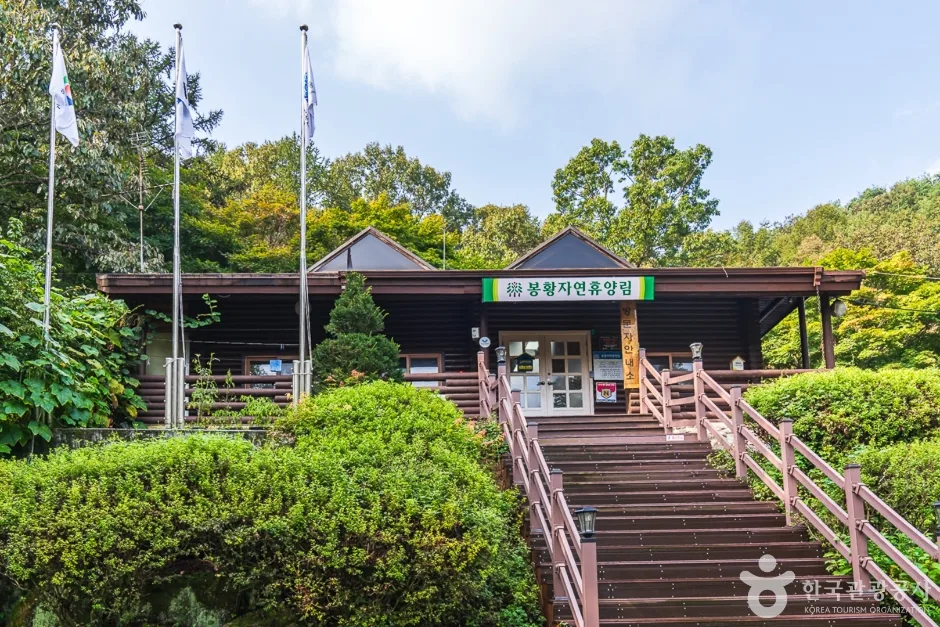 봉황자연휴양림 (6)