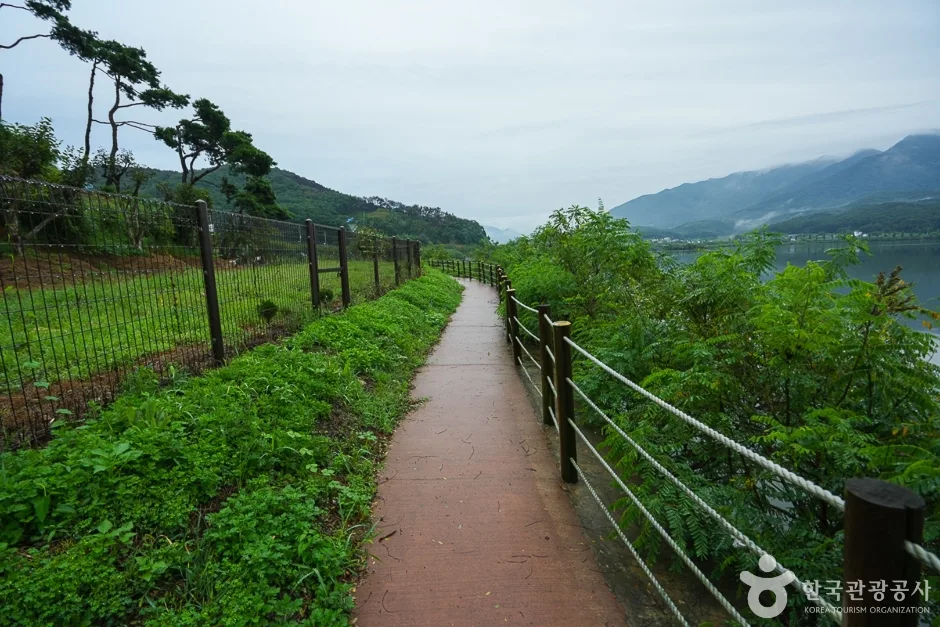 N02757_충남_보령_청천호둘레길(4)