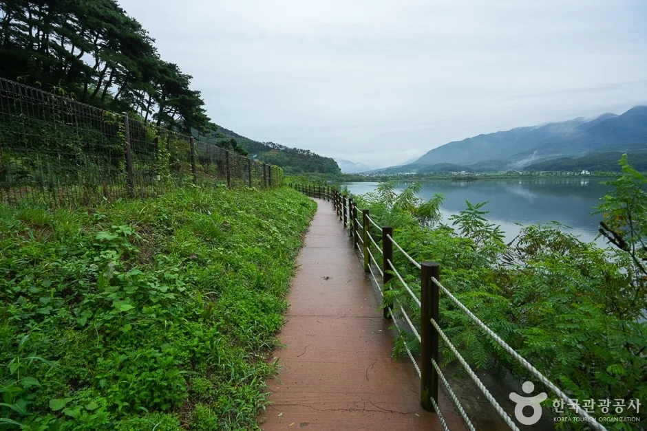 N02757_충남_보령_청천호둘레길(6)
