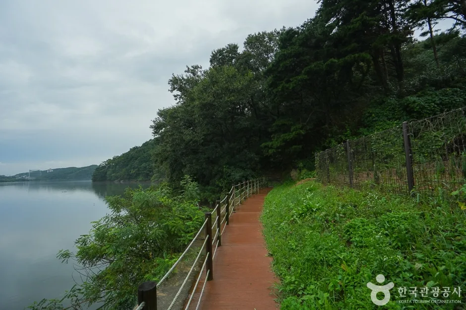 N02757_충남_보령_청천호둘레길(11)