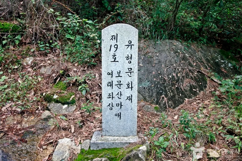 대전 보문산마애여래좌상 (7)