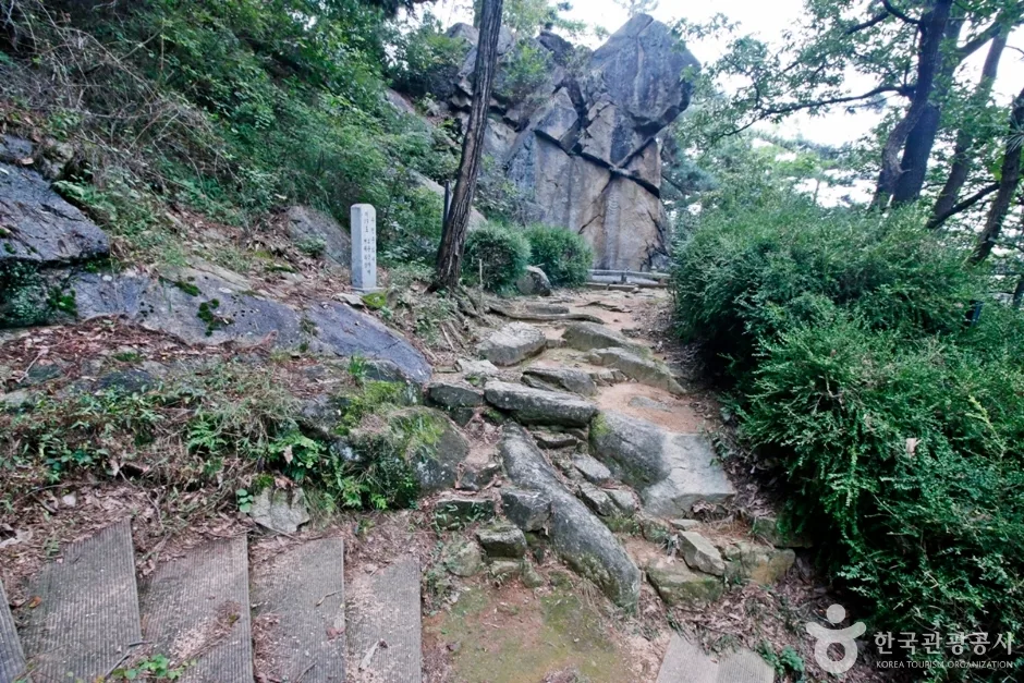 대전 보문산마애여래좌상 (13)