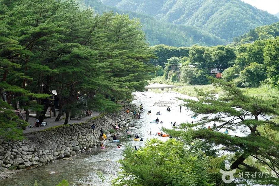 내리계곡 (14)
