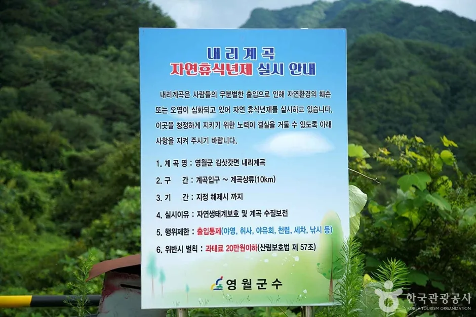내리계곡 (13)