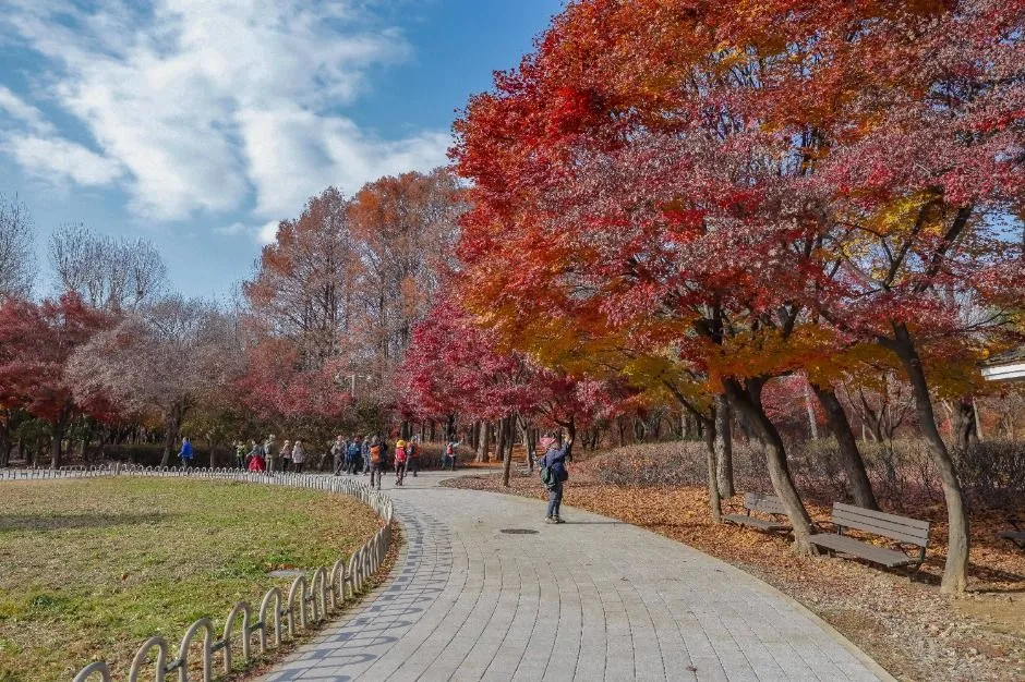 [서울둘레길 9코스] 대모·구룡산코스 (8)