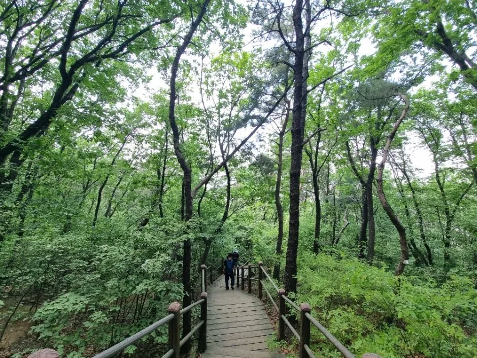 [서울둘레길 9코스] 대모·구룡산코스 (13)