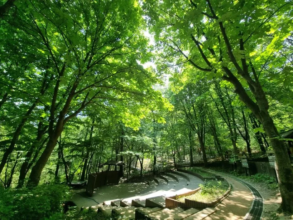 [서울둘레길 9코스] 대모·구룡산코스 (6)