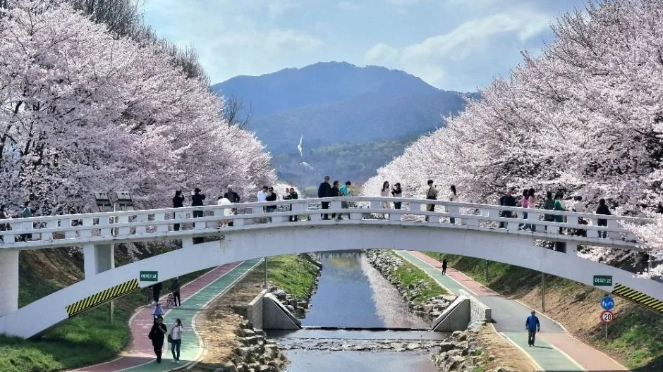 [서울둘레길 9코스] 대모·구룡산코스 (9)
