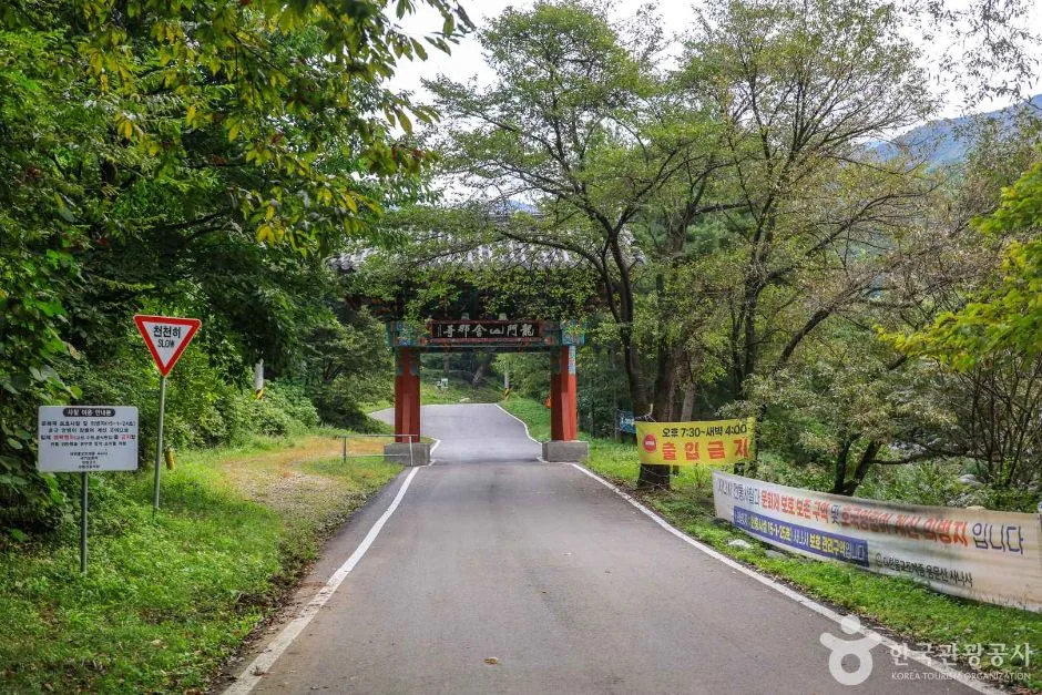 경기_양평_사나사 계곡 (4)