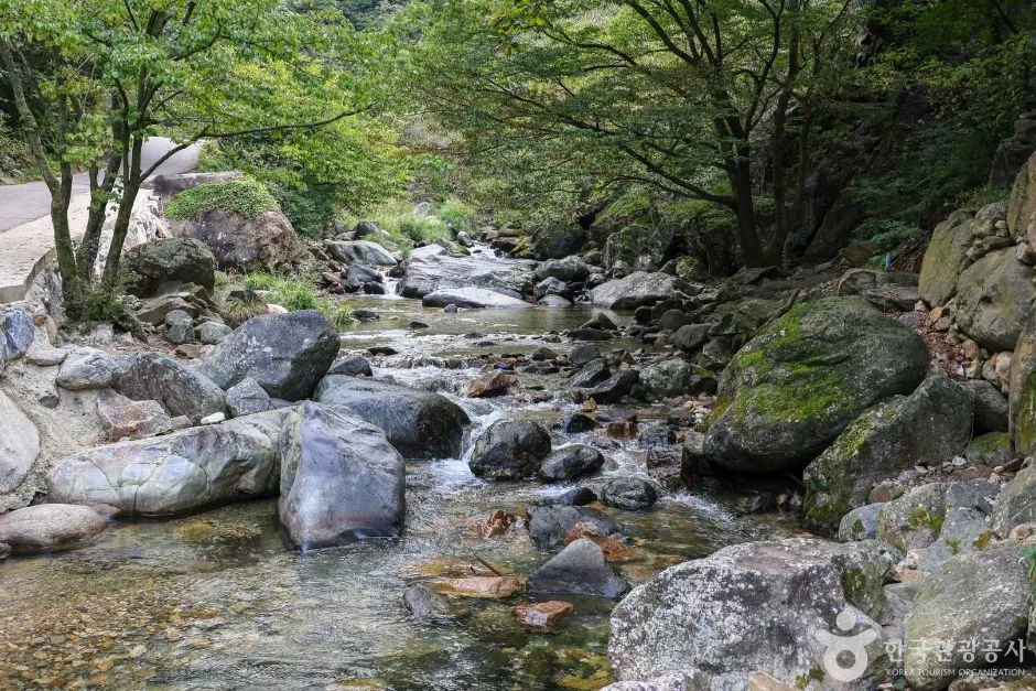 경기_양평_사나사 계곡 (2)