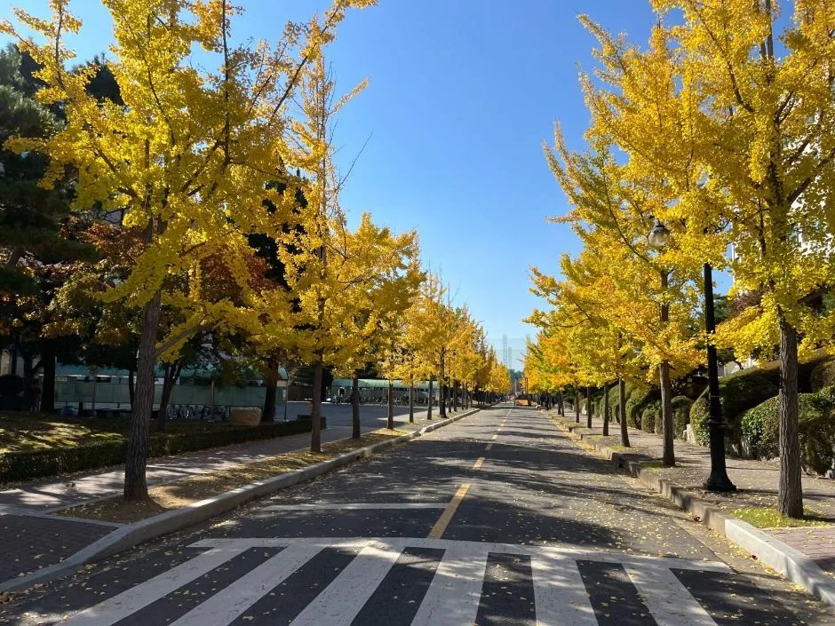 한양대학교 ERICA캠퍼스_외부